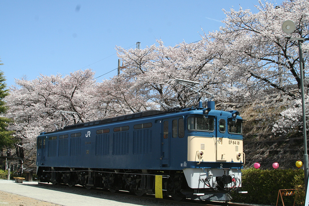 大日影トンネルと甚六桜&甲州ワインビーフとクロワッサン詰め放題バスツアーのおすすめポイント詳細