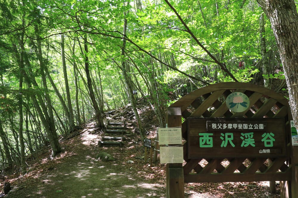 西沢渓谷入り口です5月の新緑が僕は一番好きです