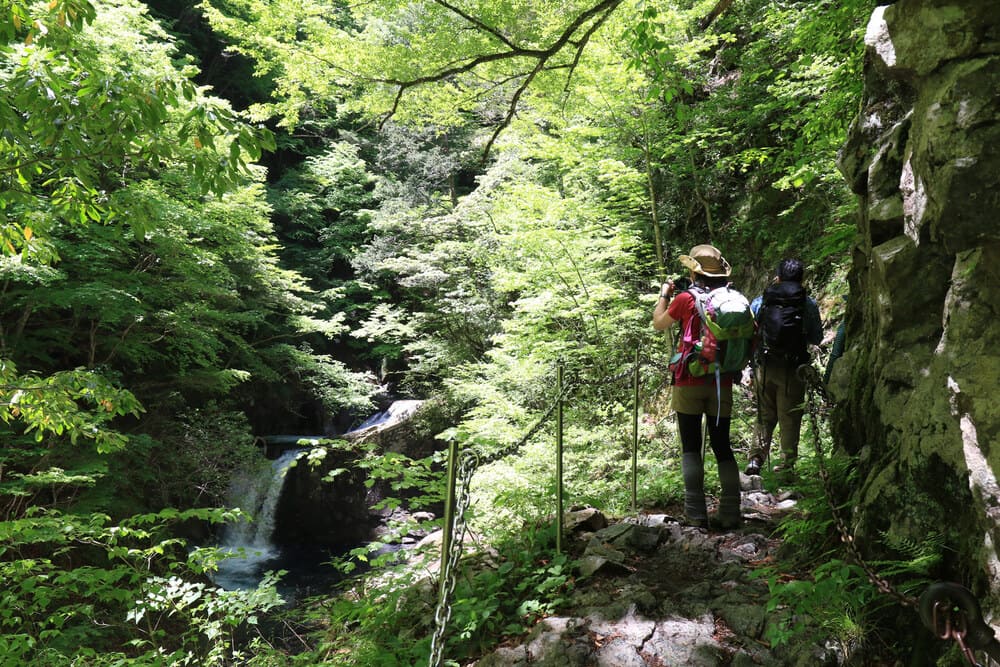 登山道からはさまざまな滝が楽しめます