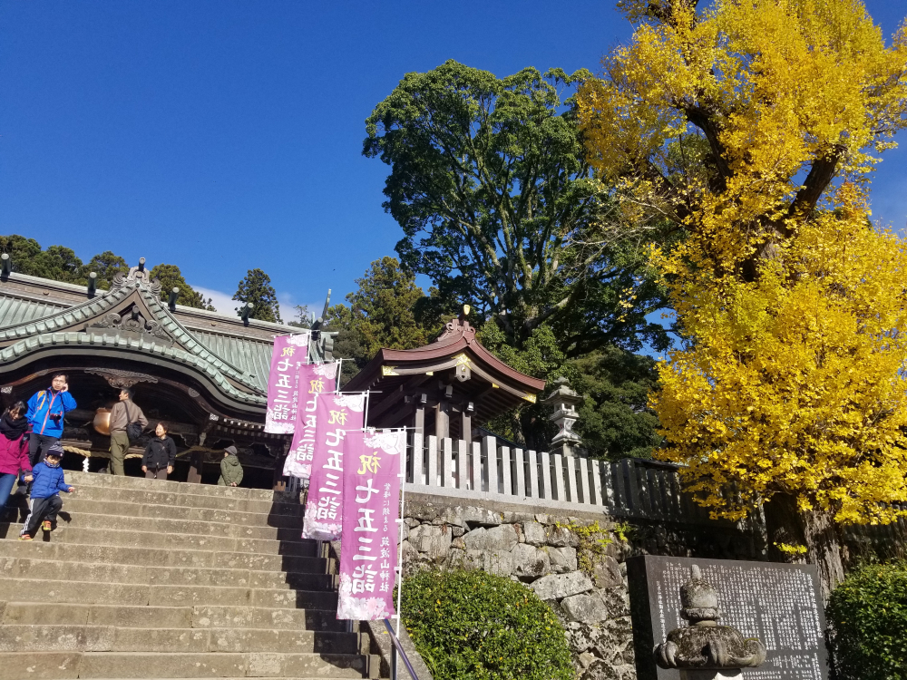 茨城紅葉巡りと茶道体験バスツアーのおすすめポイント詳細