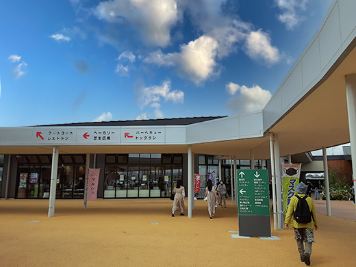 茨城紅葉巡りと茶道体験バスツアーのおすすめポイント詳細