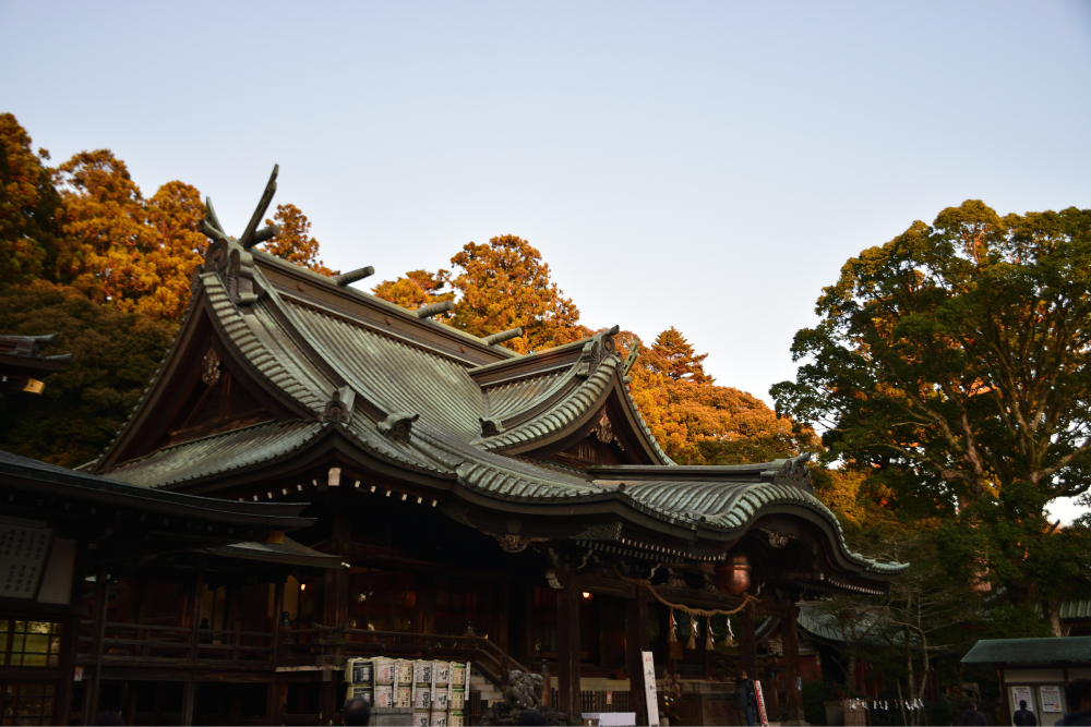茨城紅葉巡りと茶道体験バスツアーのおすすめポイント詳細