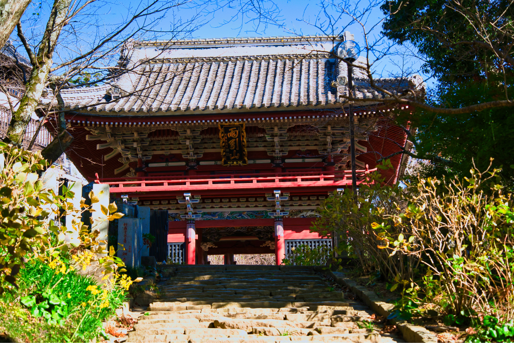 茨城紅葉巡りと茶道体験バスツアーのおすすめポイント詳細