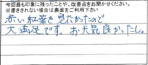 お客様からの感想