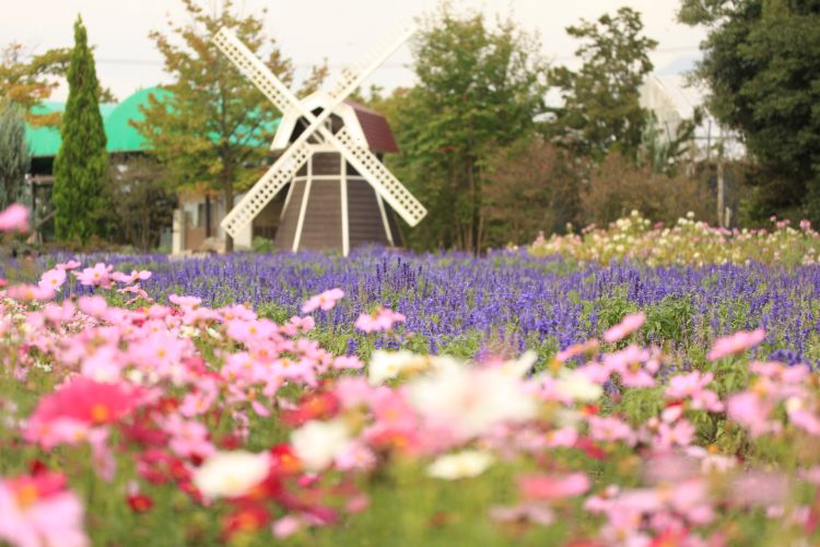 ハーブ庭園旅日記