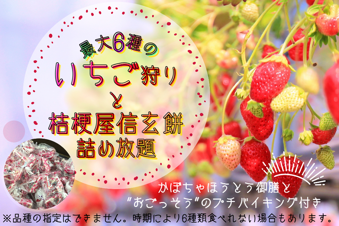 いちご狩りと桔梗屋信玄餅詰め放題ツアー