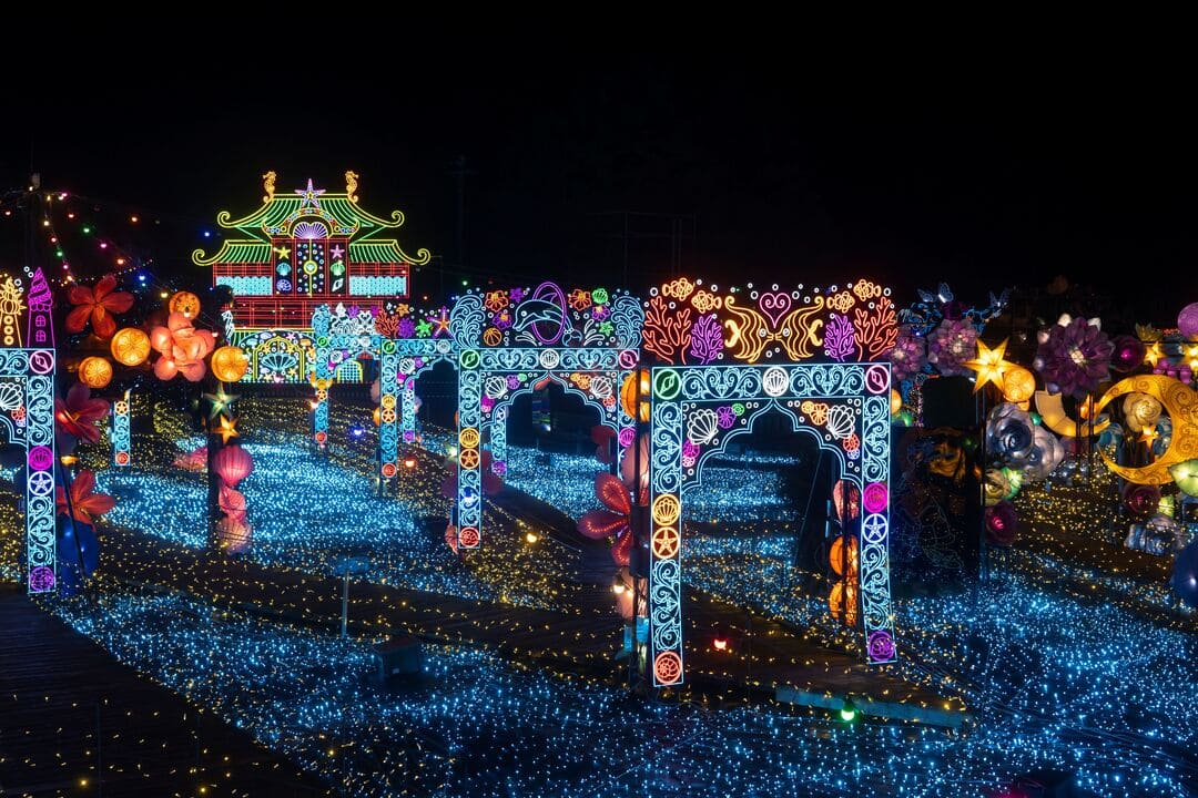 体験型イルミ伊豆高原「グランイルミ」と修善寺散策