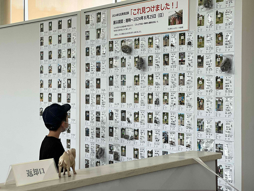 プレミア化石が展示されている様子