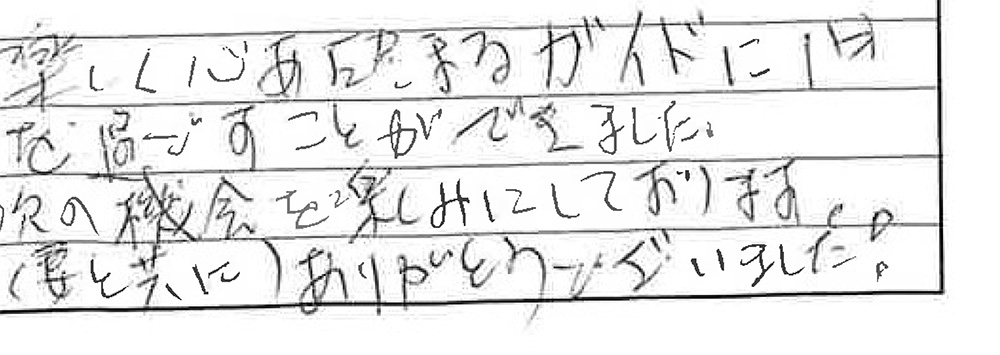 お客様からの感想