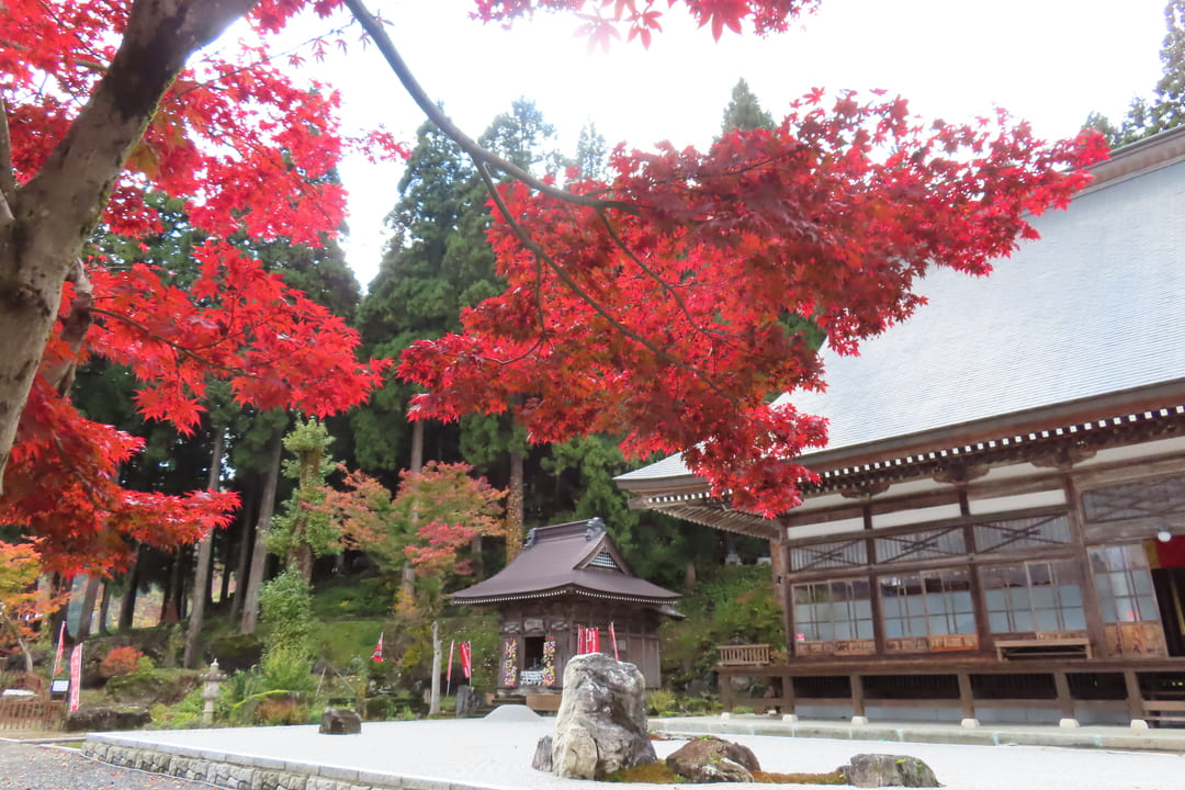 秋の関興寺イメージ