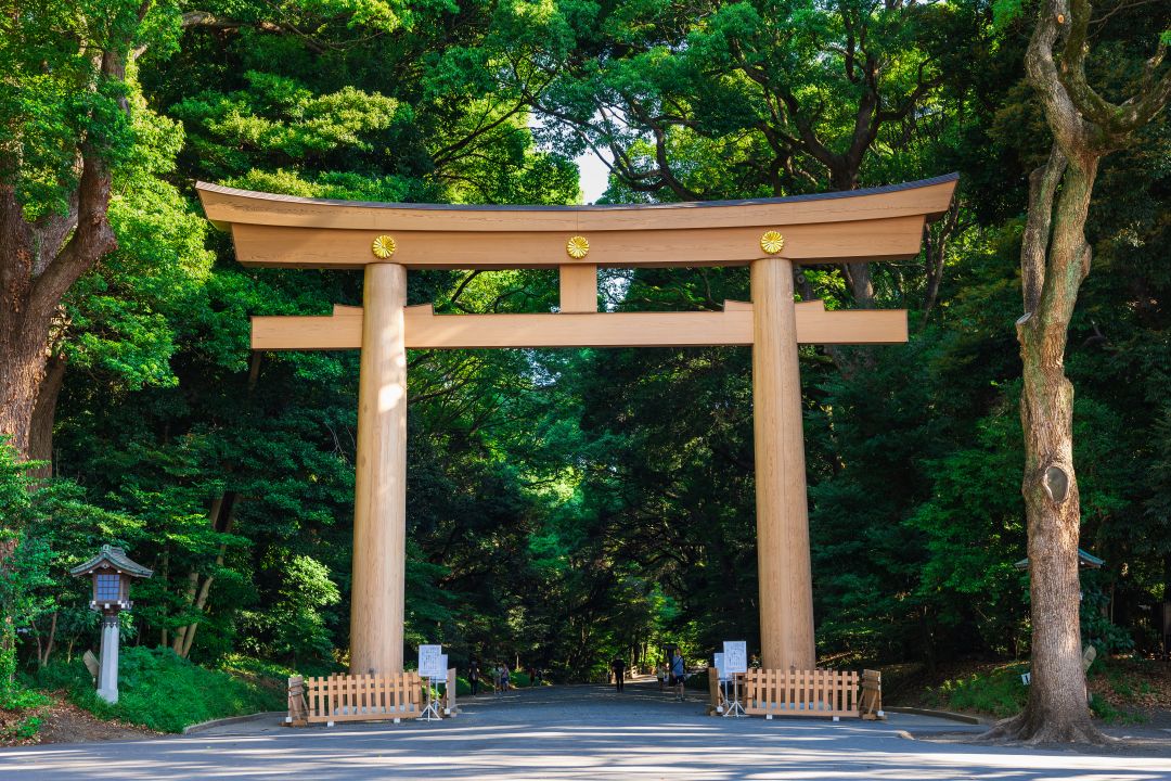 明治神宮鳥居