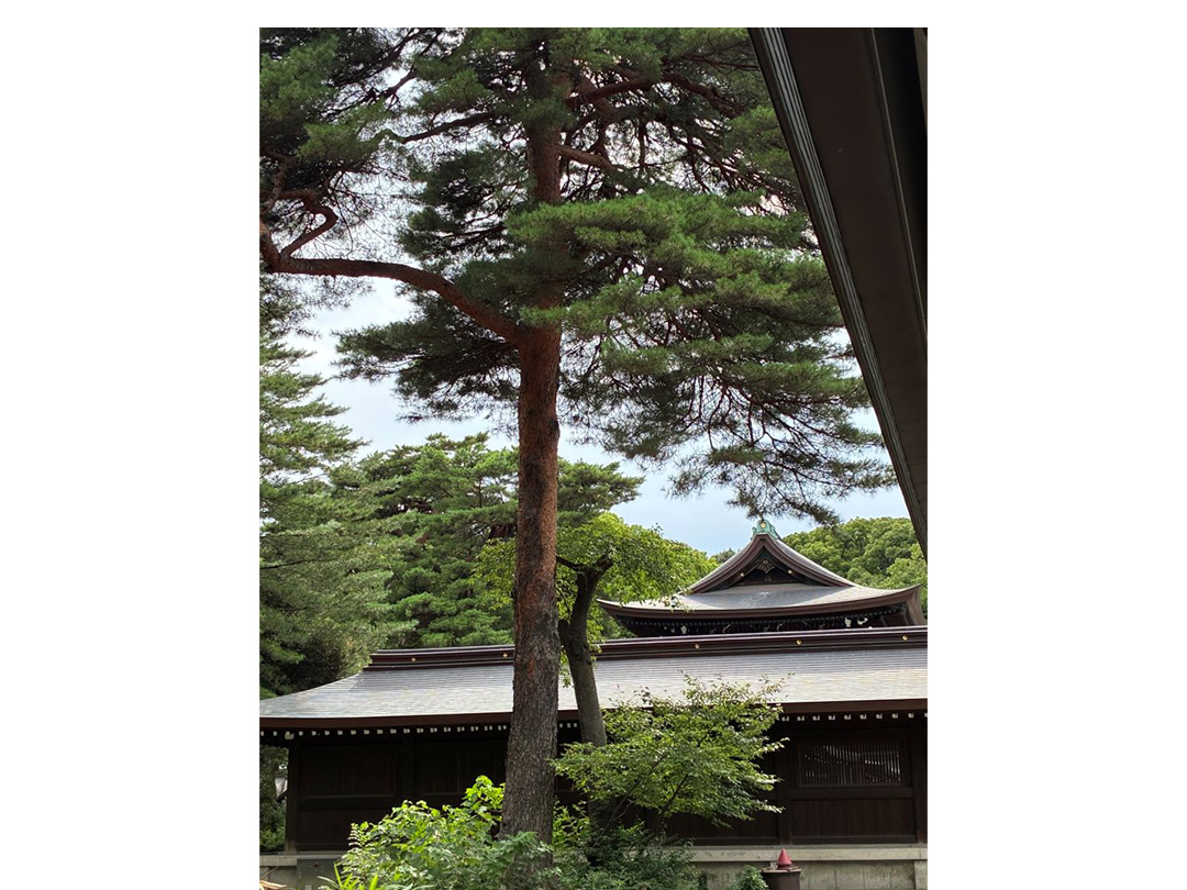 明治神宮