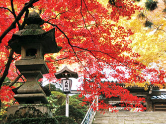 一度は訪れたい！箱根紅葉名所めぐりバスツアーの魅力