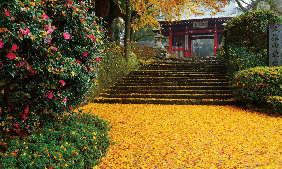 一度は訪れたい！箱根紅葉名所めぐりバスツアー