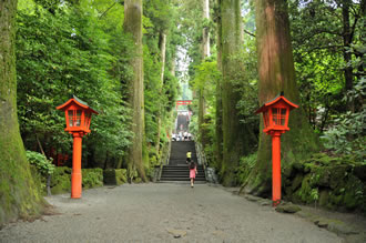 箱根九頭龍神社・本宮月次祭と箱根神社バスツアーのおすすめポイント詳細