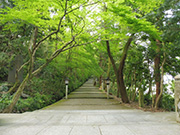 白山比咩神社おついたちまいりツアーレポートの写真2