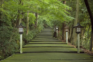 白山比咩神社と金運の金剱宮参拝のイメージ