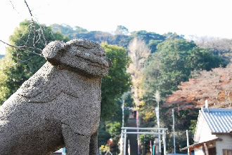 横浜・八景島シーパラダイス カウントダウンイベント&走水神社初詣ツアーのイメージ