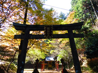 比叡山延暦寺　秘仏本尊特別御開帳と京都満喫のイメージ