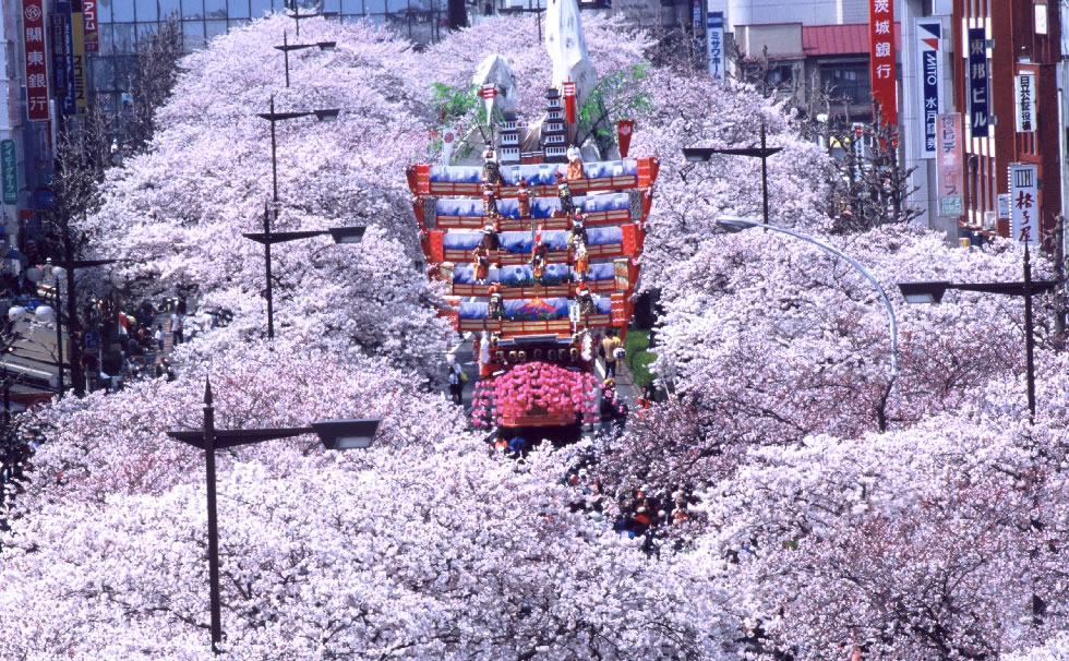 日立さくらまつりと雨引観音