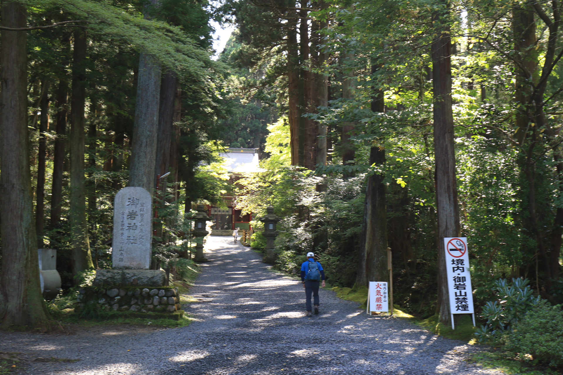 参道の杉並木にすでに自然のパワーが満ちてますね。