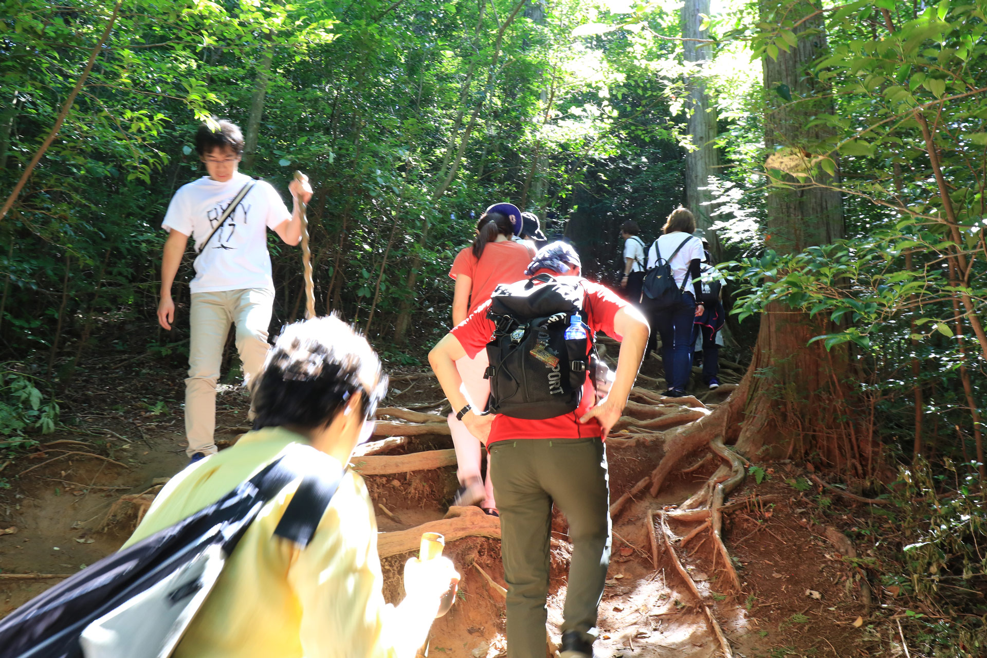 ここから希望者は山頂まで登山。