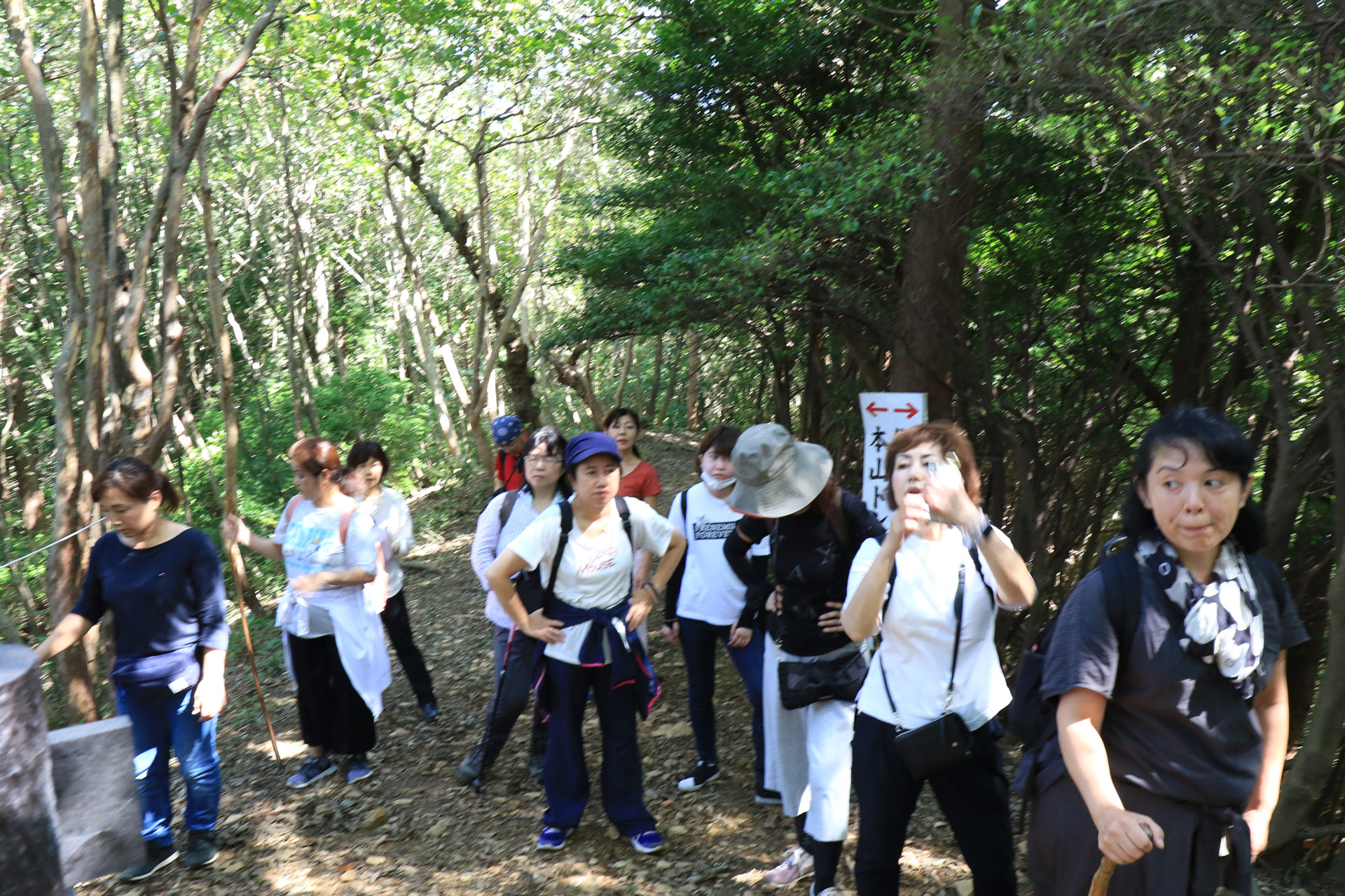 ここから希望者は山頂まで登山。