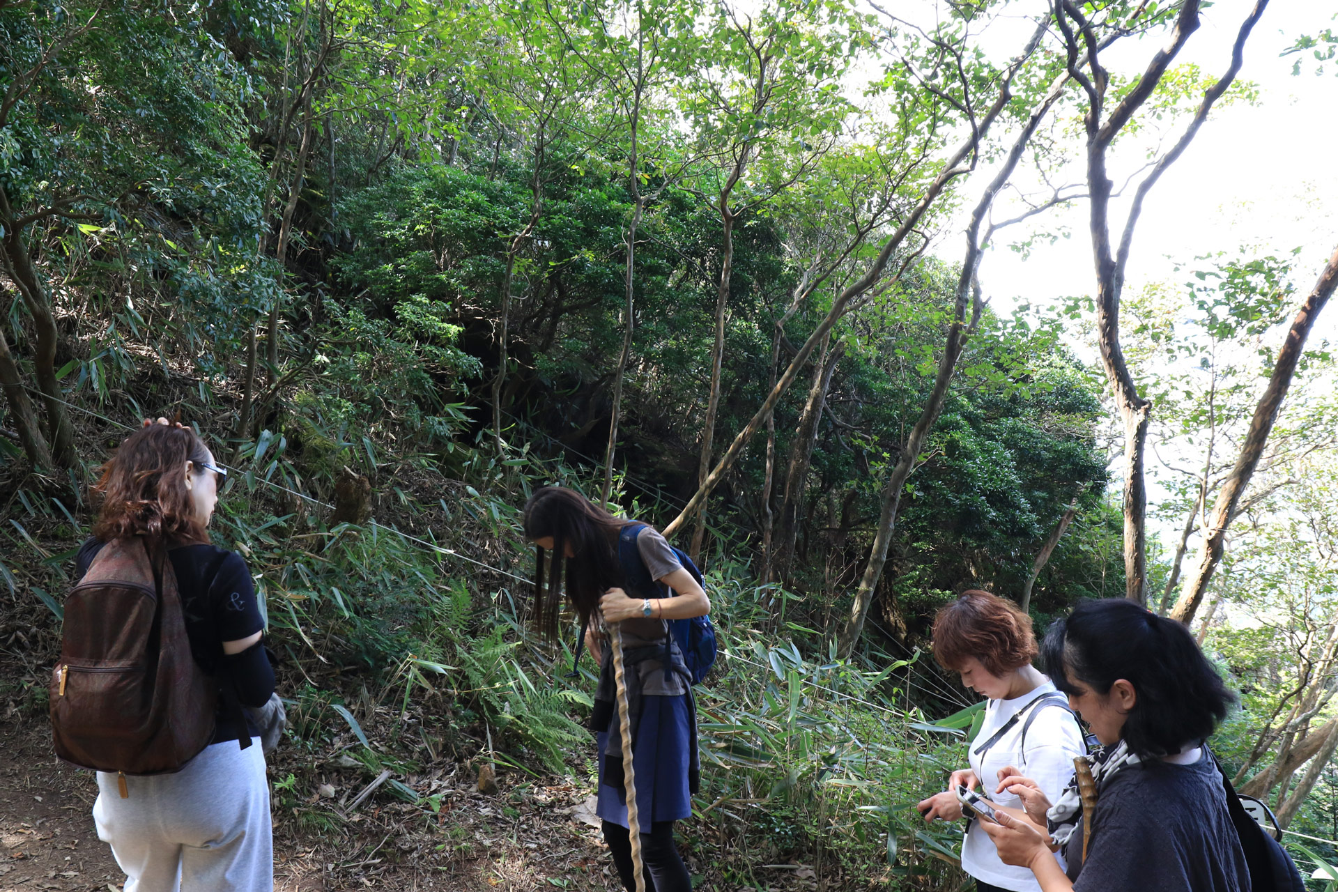 ここから希望者は山頂まで登山。