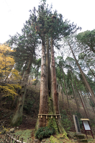 御岩神社かびれ神宮と酒列磯前神社参拝バスツアーのおすすめポイント