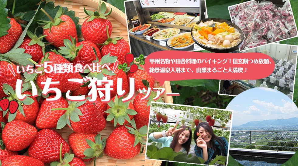 いちご狩りツアー|6種たべくらべPC版ヴィジュアル