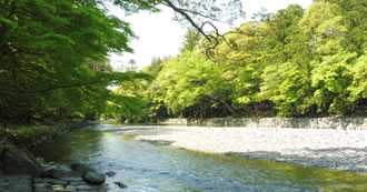 伊勢神宮（皇大神宮）早朝参拝ツアーの特典内写真01