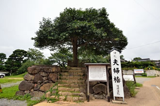 美保神社から八重垣神社まで｜出雲大社ツアーのイメージ