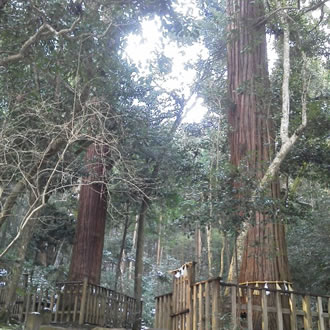 パワースポット八重垣神社&出雲大社ツアーのイメージ2
