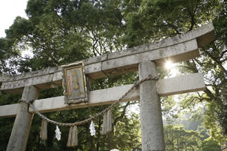 比叡山延暦寺 秘仏本尊特別御開帳と京都満喫のイメージ