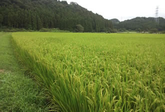 酒蔵見学バスツアーのイメージ