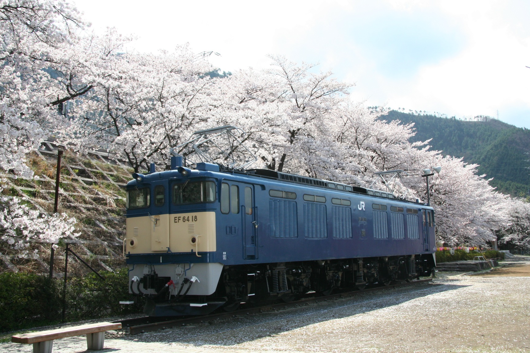 大日影トンネルと甚六桜&甲州ワインビーフとクロワッサン詰め放題バスツアーのおすすめポイント詳細