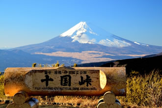 十国峠と三嶋大社バスツアーのおすすめポイント