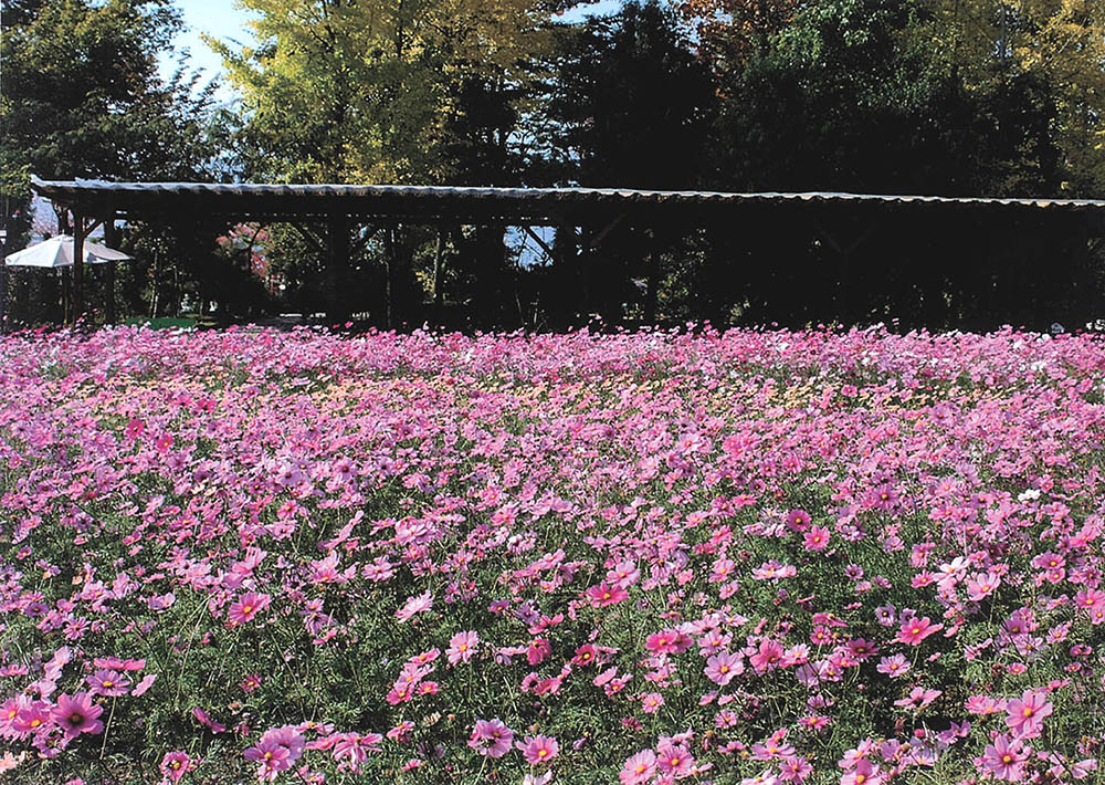 星詠みアドバイザーといく開運旅in山梨の特典内写真001