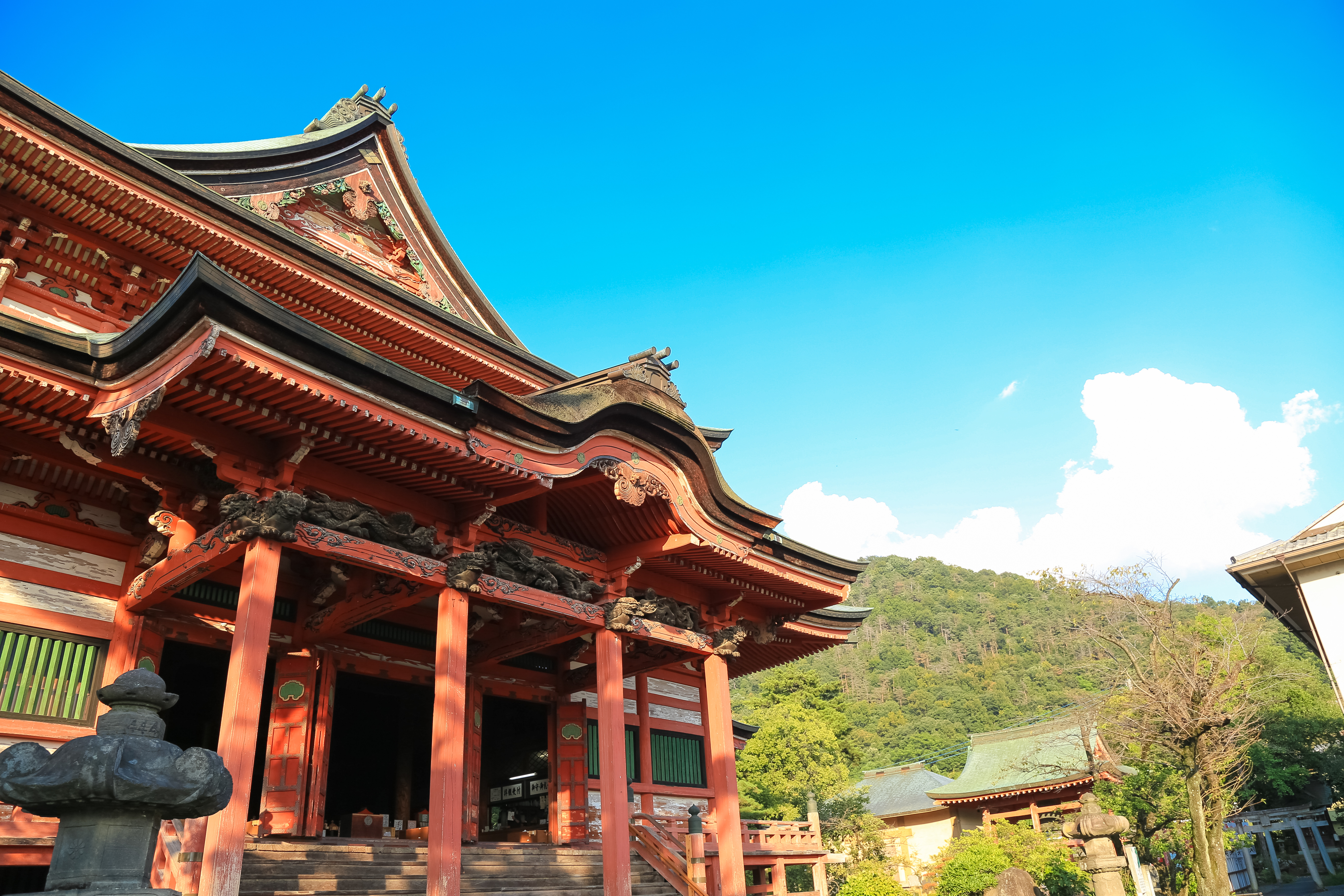 甲斐善光寺御開帳～武田信玄公ゆかりの地を巡る～バスツアーのイメージ