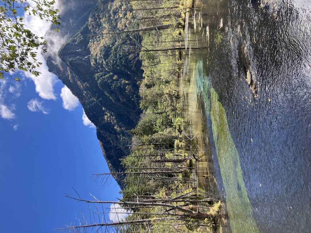 朝から上高地を堪能