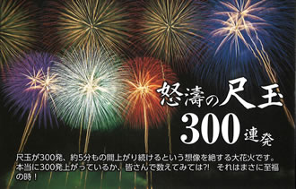 柏崎花火ツアーのイメージ