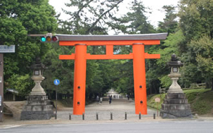 春日大社と石上神宮ツアーのイメージ