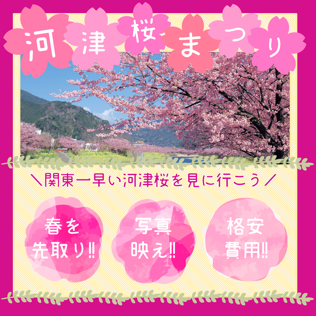 河津桜バスツアー