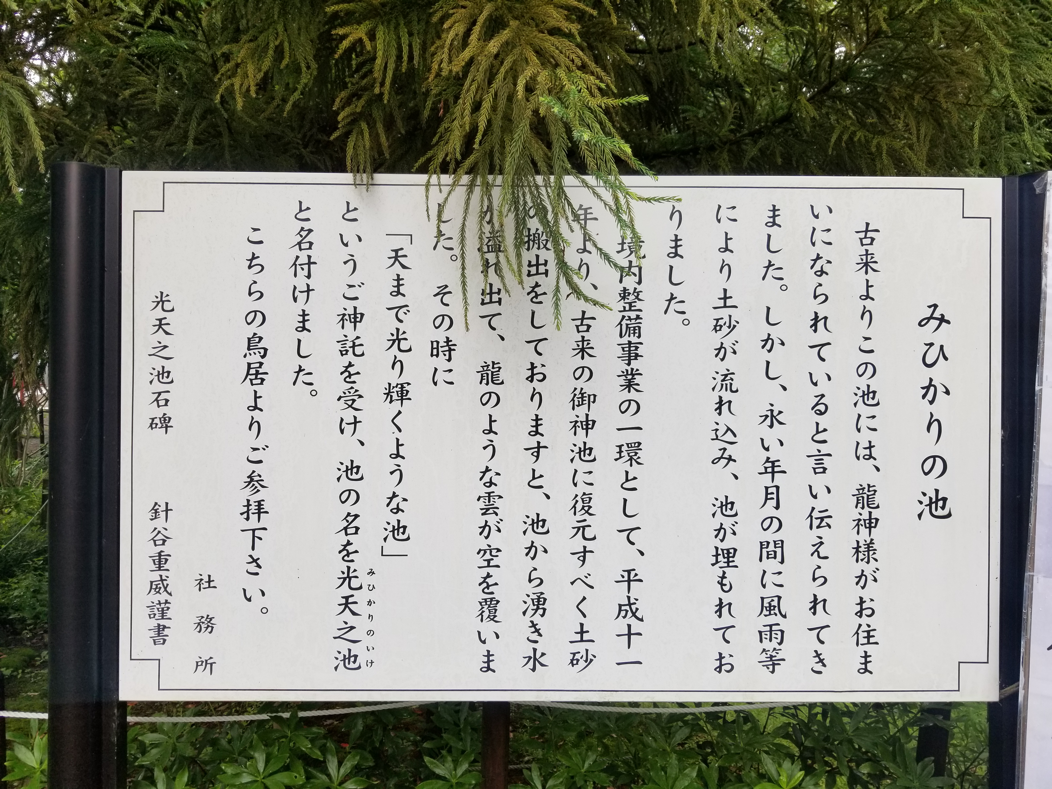 小江戸・川越散策と武蔵国神社巡りバスツアーのおすすめポイント