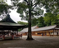 小江戸・川越散策と武蔵国神社巡りバスツアーのおすすめポイント