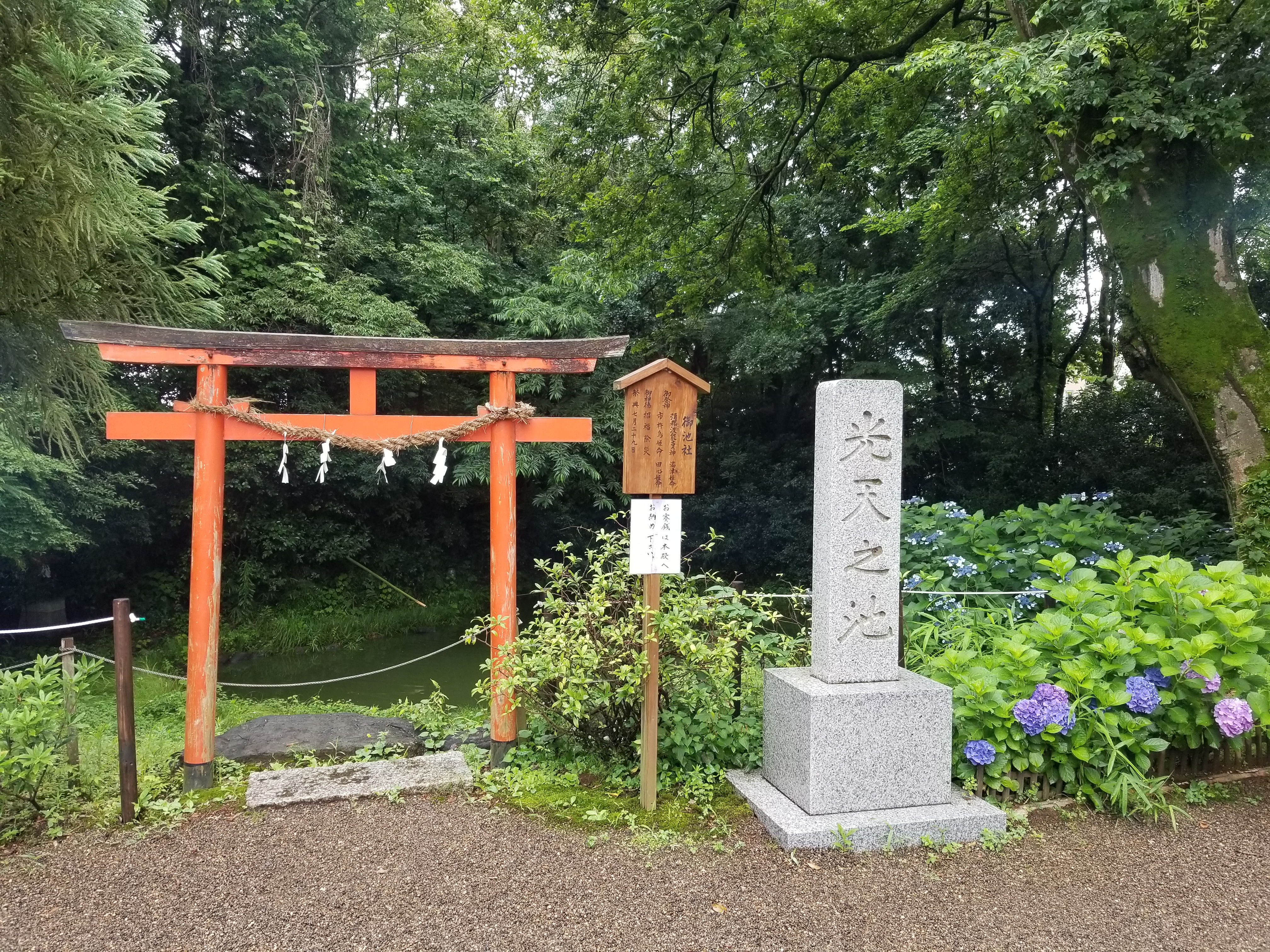 小江戸・川越散策と武蔵国神社巡りバスツアーのおすすめポイント