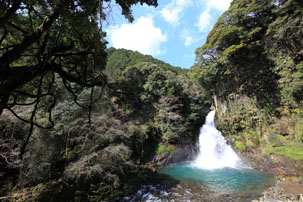 河津七滝ハイキングバスツアー 四季の旅