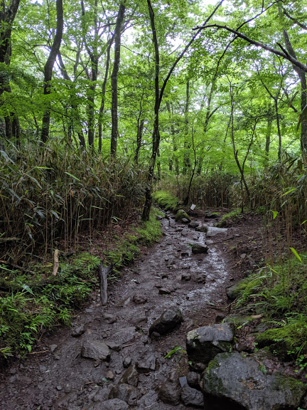 金時山ハイキングのイメージ