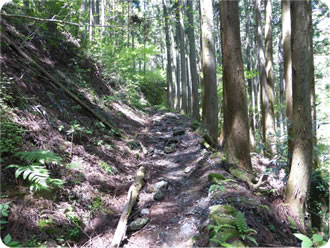 金時山ハイキングのイメージ