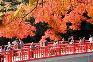 紅葉の香嵐渓と温泉バスツアーのイメージ